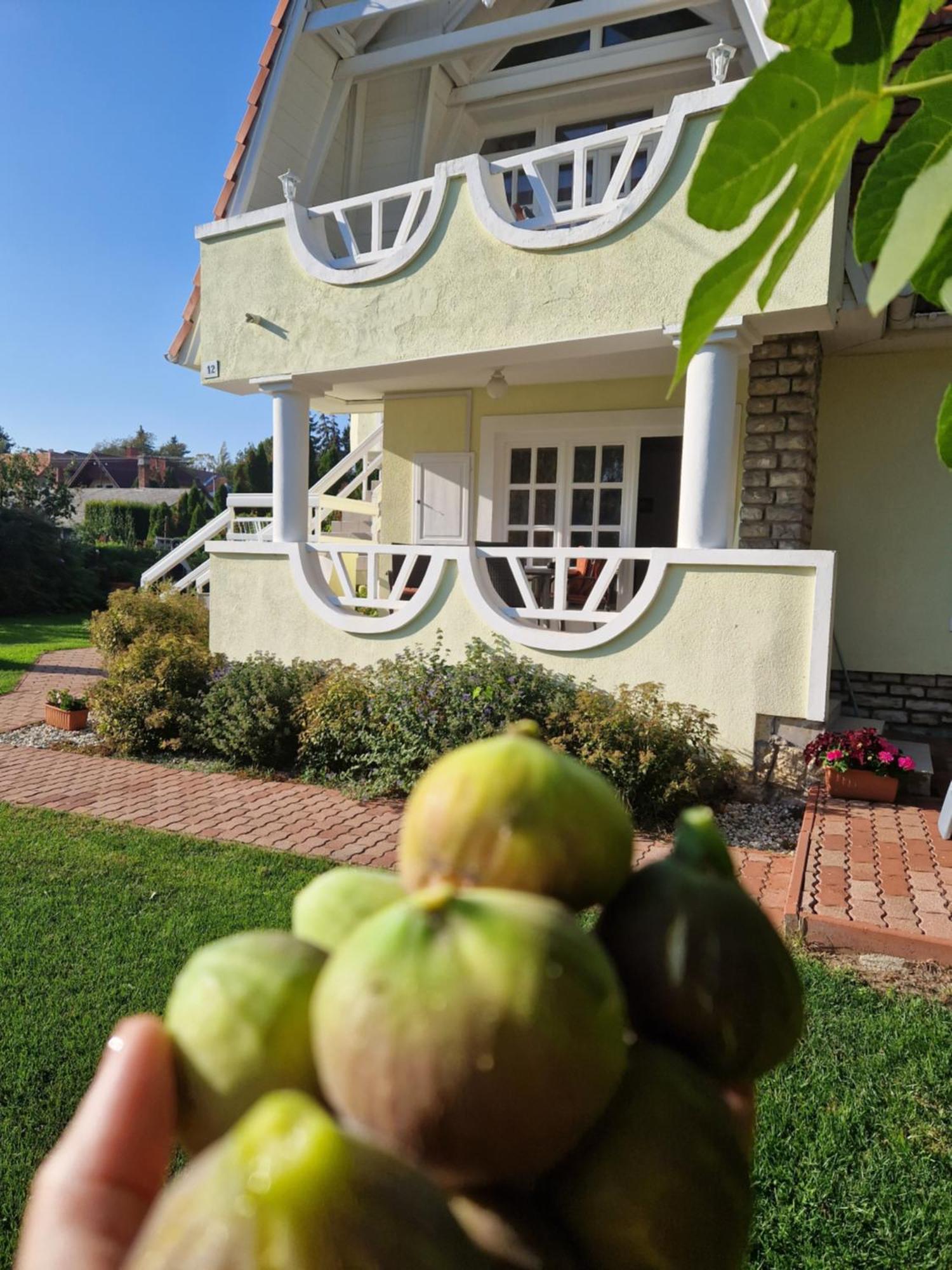 Balaton Apartman Fuered Balatonfured Exterior photo